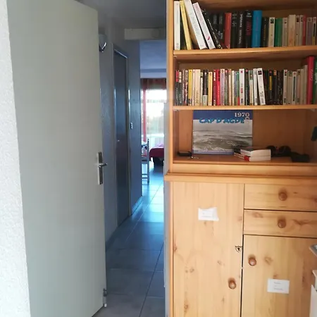 Apartment T2 En Rdj Grande Terrasse Et Garage 3 Min De La Agde